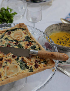 kitchen knife