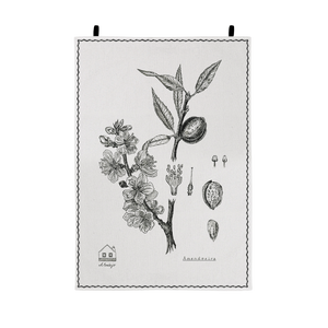 Amendoeira tea towel / wall hanging botanical illustration screen printed in linen