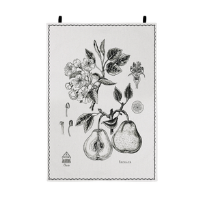 Pereira tea towel / wall hanging botanical illustration screen printed in linen